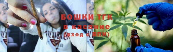 крисы Богородск