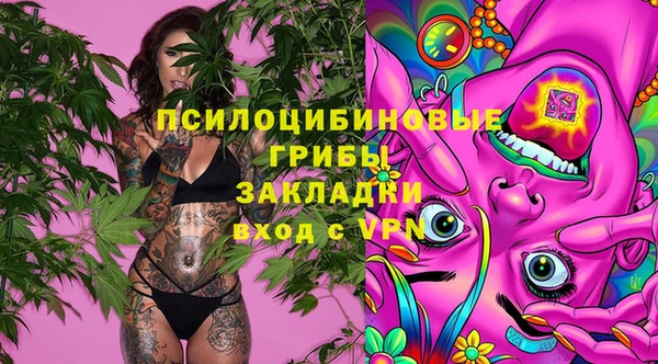 мескалин Богданович