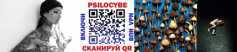 omg зеркало  Кирсанов  Псилоцибиновые грибы мухоморы 