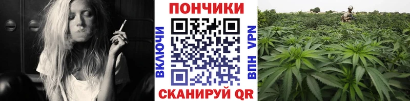 Бошки марихуана планчик Кирсанов